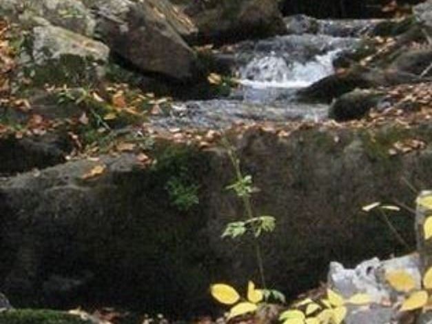 A creek going down a hill 