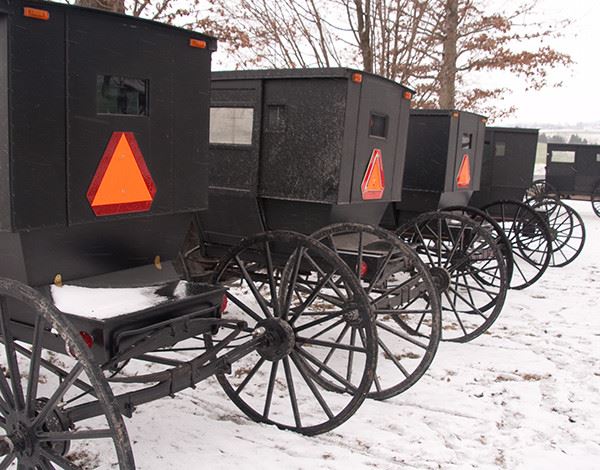 A row of old-fashioned carriages in the snow. 